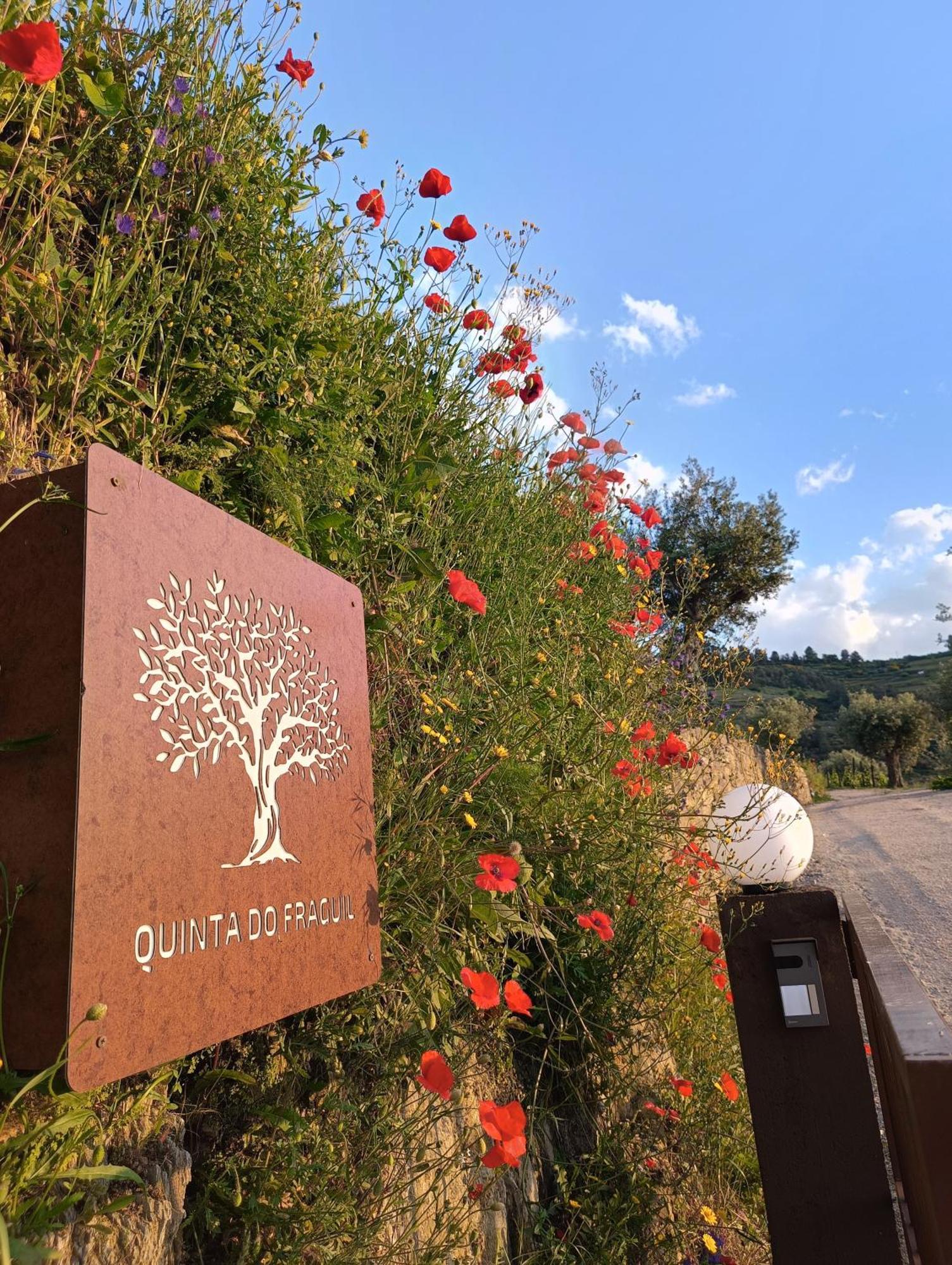 Quinta Do Fraguil - Douro Valley Villa Valenca do Douro Exterior photo